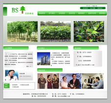 “綠水青山”林業(yè)開(kāi)發(fā)網(wǎng)站頁(yè)面設(shè)計(jì)與開(kāi)發(fā)實(shí)戰(zhàn)指南